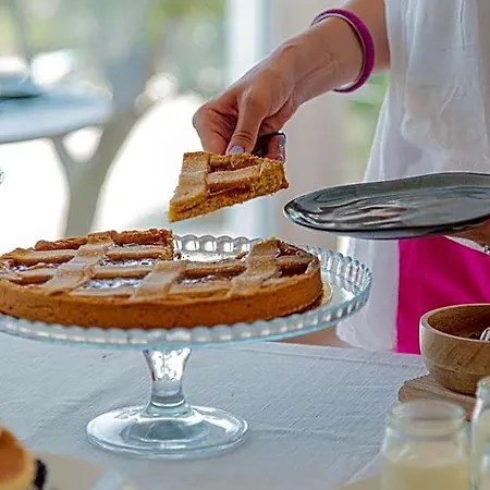 מלון Ambasciatori Front Breakfast E Brunch Xxl Fino Alle 12 30 מיסאנו אדריאטיקו
